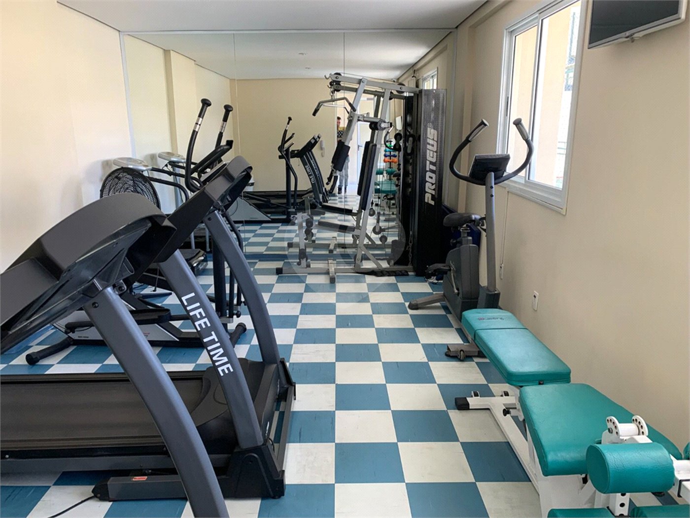 Apartamento à venda com 3 quartos, sendo 1 suíte, em Vila Guilherme, São Paulo, SP