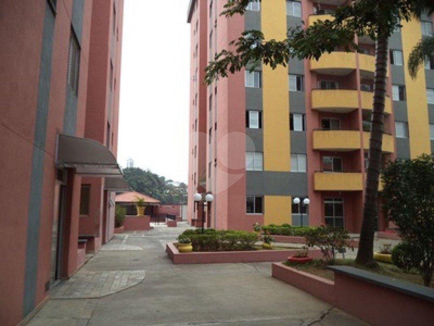 Apartamento à venda com 3 quartos, sendo 1 suíte, em Vila Aurora (zona Norte), São Paulo, SP