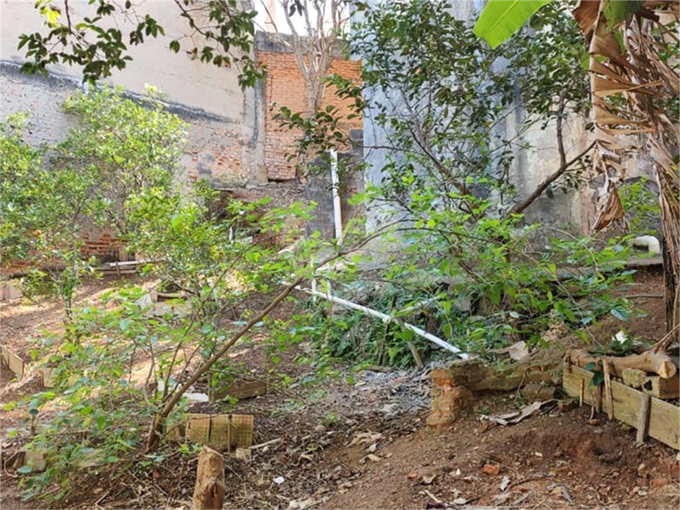 Terreno à venda em Vila Gustavo, São Paulo, SP