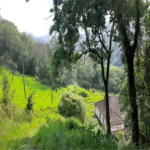 Casa Térrea à venda com 3 quartos, sendo 1 suíte, em Rio Abaixo, Mairiporã, SP