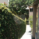Terreno à venda em Vila Mariza Mazzei, São Paulo, SP