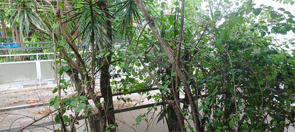 Sobrado à venda com 3 quartos, sendo 1 suíte, em Jabaquara, São Paulo, SP