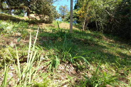 Terreno à venda em Jardim Morumbi, São Paulo, SP