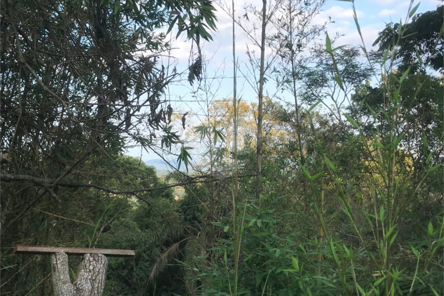 Terreno à venda em Serra da Cantareira, Mairiporã, SP