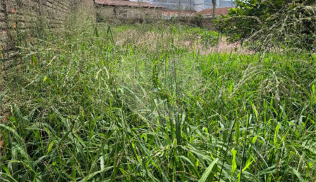 Terreno à venda em Jardim Pacaembu, São Carlos, SP