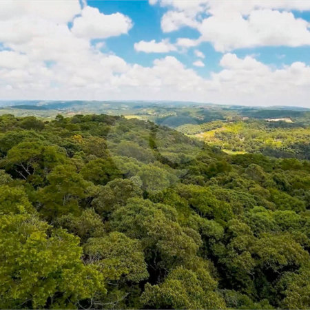 Terreno à venda em Gabriel Piza, São Roque, SP