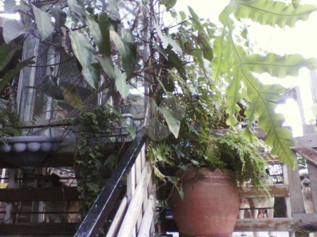 Prédio à venda em Água Fria, São Paulo, SP