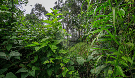Terreno à venda em Morumbi, São Paulo, SP