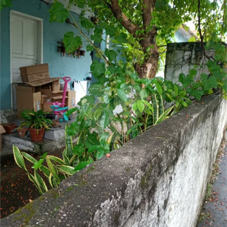Casa à venda com 3 quartos, sendo 2 suítes, em Tucuruvi, São Paulo, SP