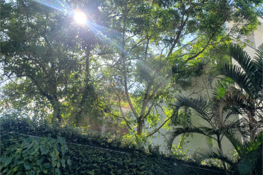 Sobrado à venda com 4 quartos, sendo 1 suíte,  em Jardim Leonor Mendes de Barros, São Paulo, SP