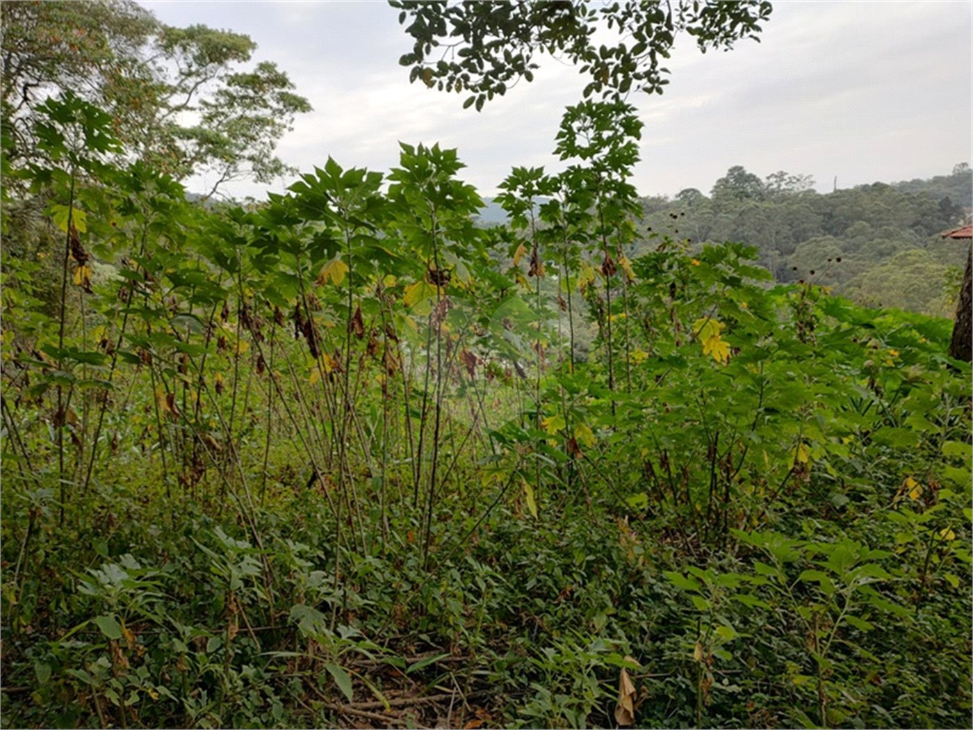 Terreno à venda em Barro Branco (zona Norte), São Paulo, SP