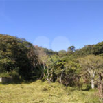 Terreno à venda em Vila Palmares, Franco da Rocha, SP