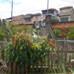 Casa Térrea à venda com 3 quartos em Casa Verde, São Paulo, SP
