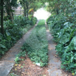 Terreno à venda ou para alugar em Horto, São Paulo, SP