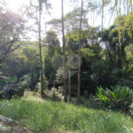 Chácara à venda com 2 quartos, sendo 1 suíte, em Caete (mailasqui), São Roque, SP