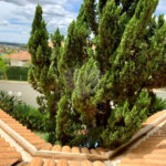 Sobrado à venda com 3 suítes em Vila Velosa, Araraquara, SP