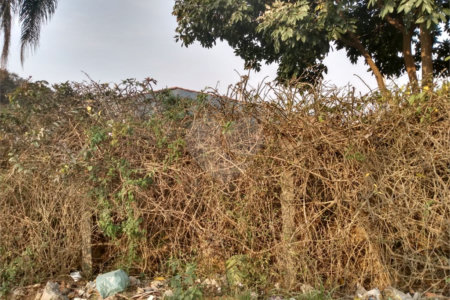Terreno à venda em Jardim São João (zona Norte), São Paulo, SP