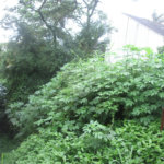 Terreno à venda no condomínio Loteamento Jardim entre Serras, São Paulo - SP