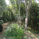 Terreno à venda em Samambaia, Mairiporã, SP