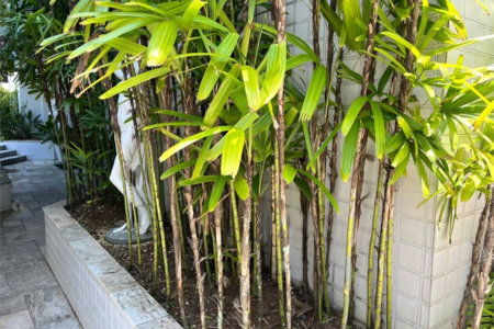 Apartamento Residencial à venda, Enseada, Guarujá - AP0868.