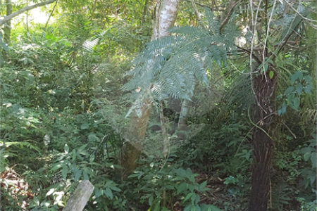 Casa à venda com 3 quartos, sendo 1 suíte,  em Água Espraiada (caucaia do Alto), Cotia, SP