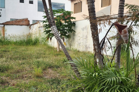 Terreno para alugar no Centro, Araraquara, SP