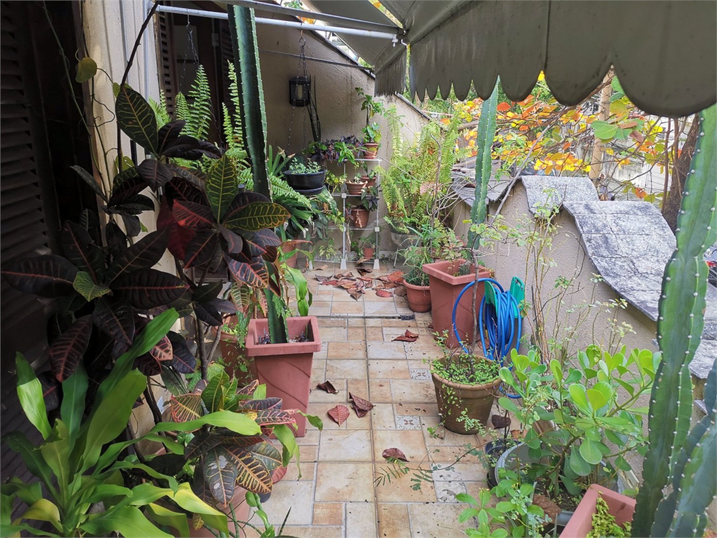 Casa à venda com 5 quartos em Andaraí, Rio de Janeiro, RJ