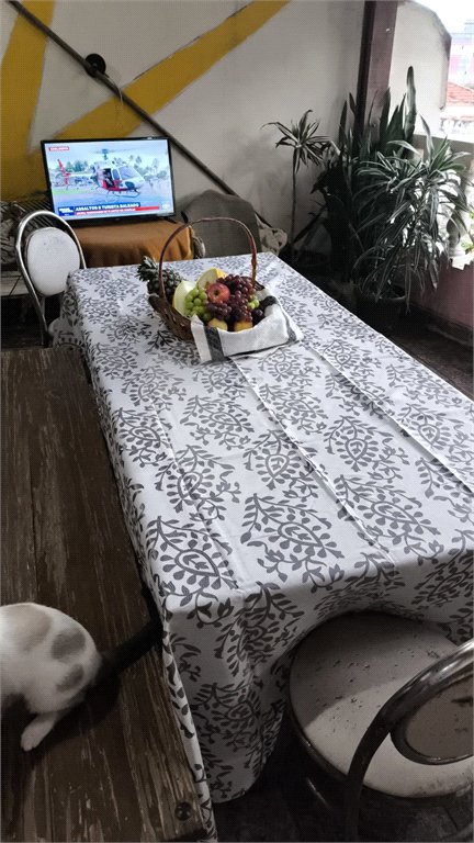 Casa à venda com 3 quartos, sendo 1 suíte, em Vila Rosalia, Guarulhos, SP