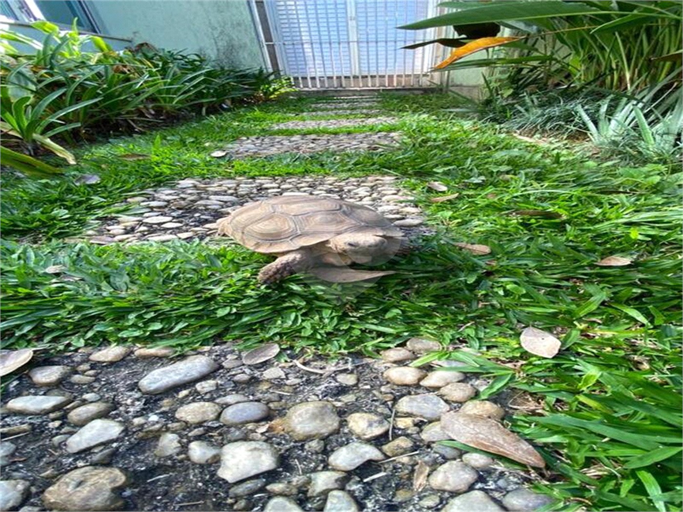 Casa Térrea à venda com 4 quartos, sendo 2 suítes, em Jardim Floresta, São Paulo, SP