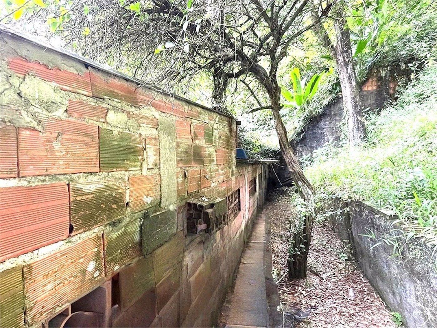 Terreno Residencial à venda, Morro de Nova Cintra, Santos - TE0034.