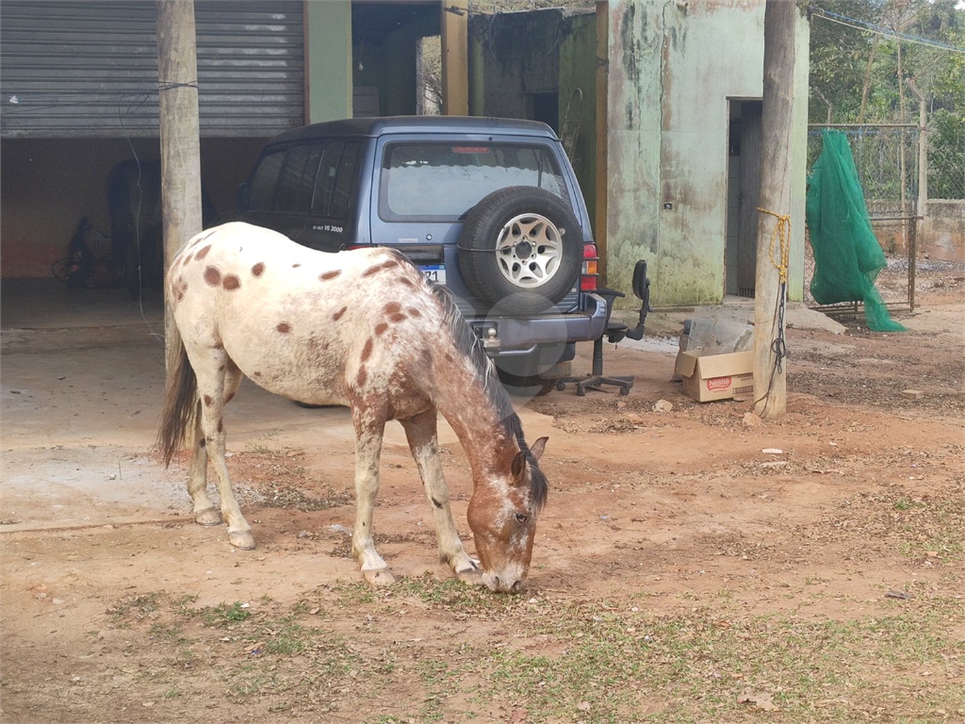 Sítio à venda com 3 quartos, sendo 2 suítes,  em Cachoeira, Atibaia, SP