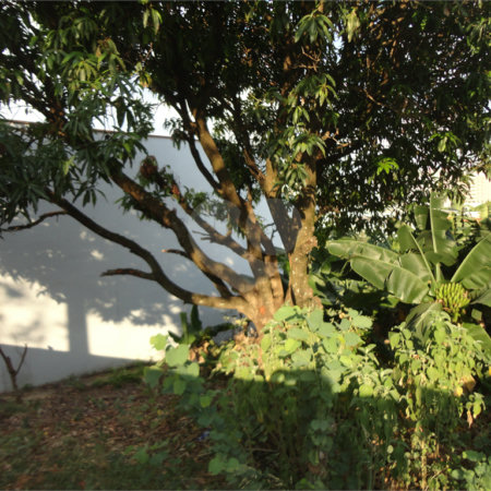 Terreno à venda em Vila São José, Valinhos, SP