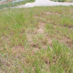 Terreno à venda no condomínio Residencial Reserva Bellano, Itatiba - SP