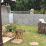 Chácara à venda com 3 suítes em Ribeirão dos Porcos, Atibaia, SP