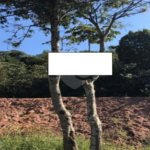 Terreno à venda no condomínio Parque Saint Arthur, São Paulo - SP