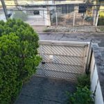 Casa à venda com 3 quartos, sendo 1 suíte, em Mirandópolis, São Paulo, SP