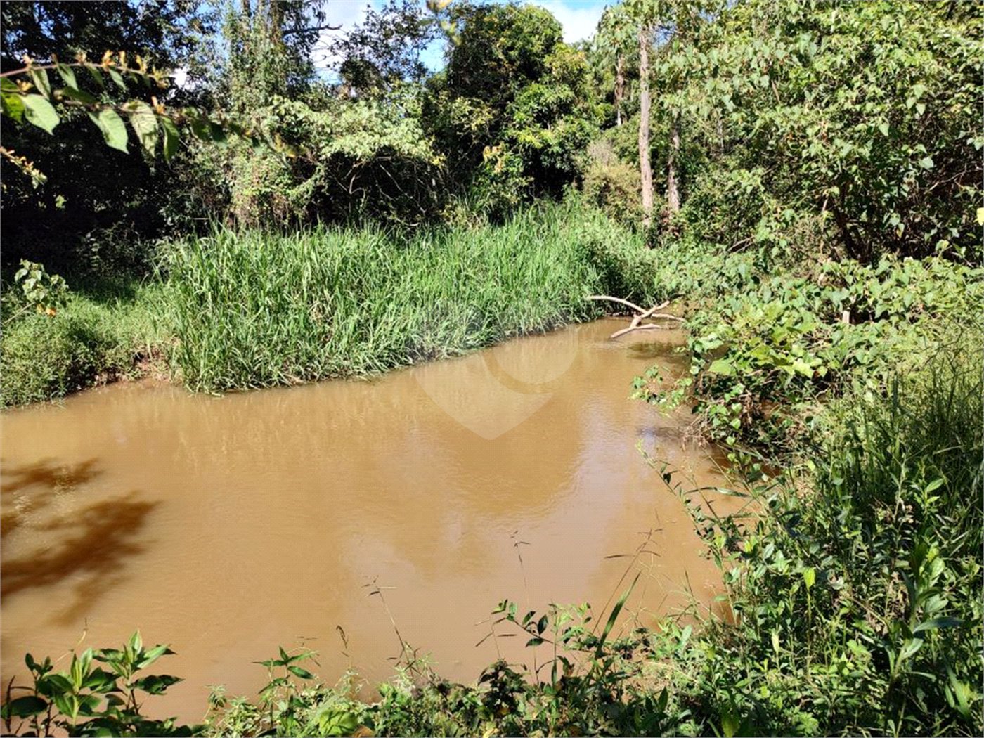 Área rural em Piracaia com 3.289 metros, ótima para chácara, as margens do rio Cachoeira