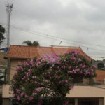Sobrado à venda com 3 suítes em Saúde, São Paulo, SP