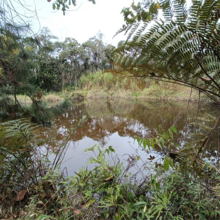 Terreno à venda em Vila Junqueira, São Roque, SP
