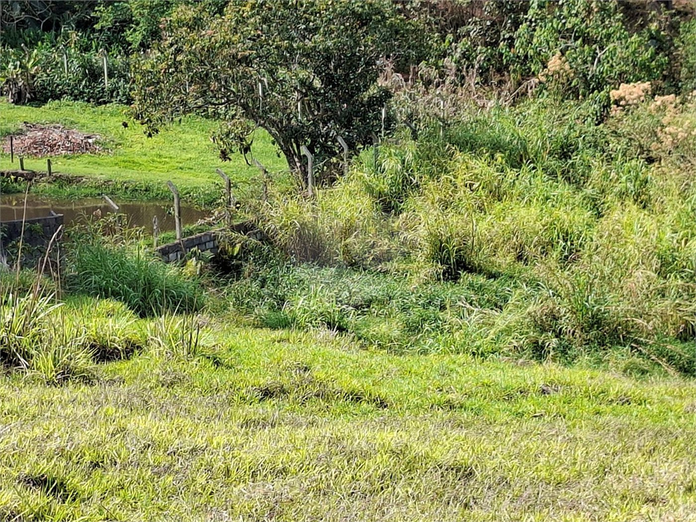 Terreno à venda em Chácara Fernão Dias, Bragança Paulista, SP