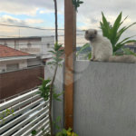 Sobrado à venda com 2 suítes em Horto, São Paulo, SP