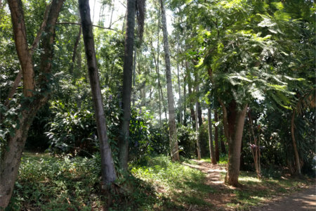 Casa Térrea à venda com 3 quartos, sendo 1 suíte, em Jardim Marajoara, São Paulo, SP