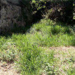 Terreno à venda em Casa Verde, São Paulo, SP