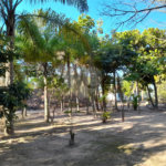 Sítio à venda no Centro, Salesópolis, SP
