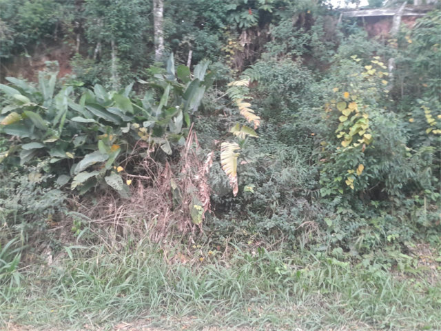 Terreno à venda em Serra da Cantareira, Mairiporã, SP