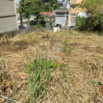 Terreno à venda em Jardim Guedala, São Paulo, SP