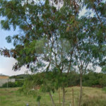 Terreno à venda em São José, Armação dos Búzios, RJ