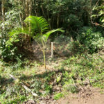 Terreno à venda no condomínio Sausalito, Mairiporã - SP