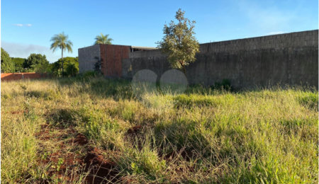 Terreno à venda no condomínio Terreno na Rua Lucelia, Ponta Porã - MS