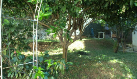 Chácara à venda com 5 quartos em Horto Florestal, São Paulo, SP